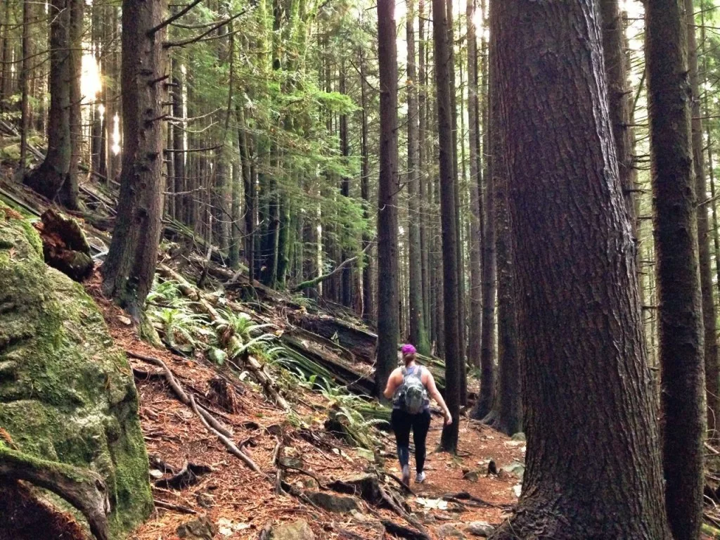 Hiking Solo on the Baden Powell Trail