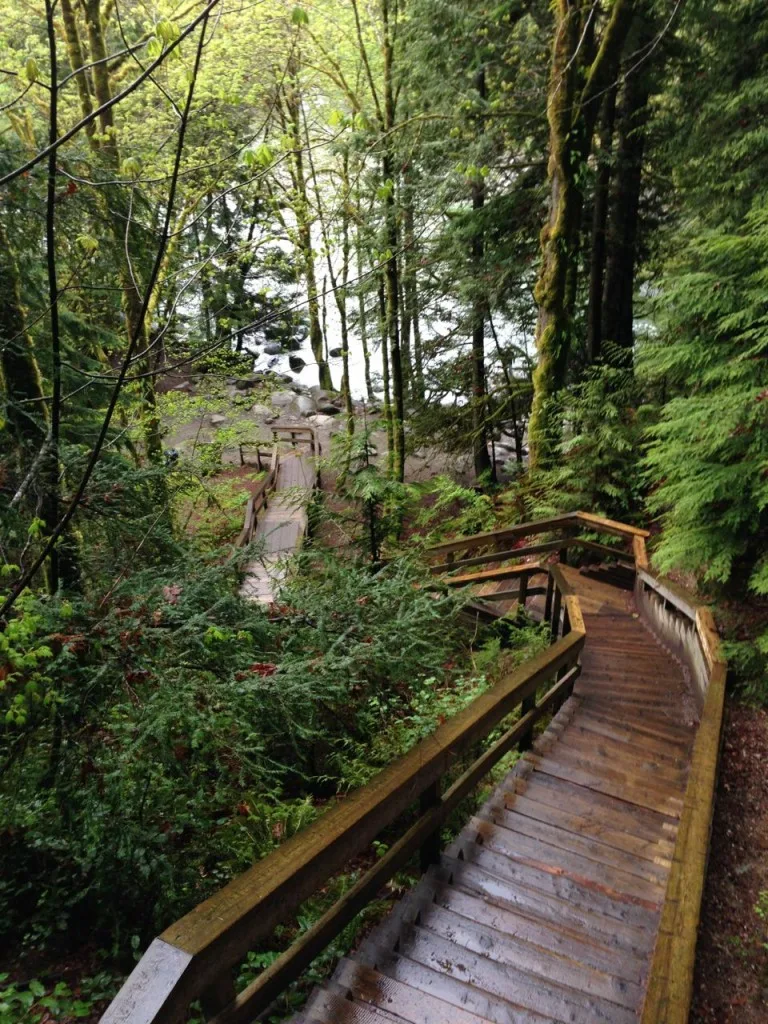 Lynn canyon boardwalks and stairs