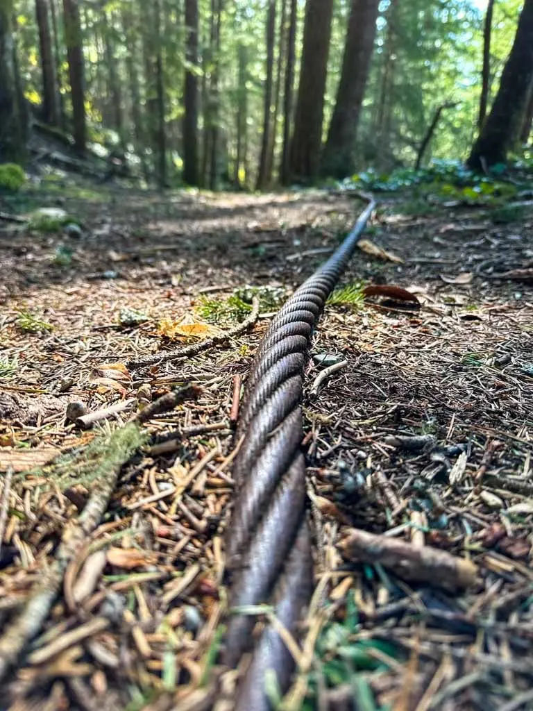 An abandoned logging cable on the Cheakamus Loop Trail