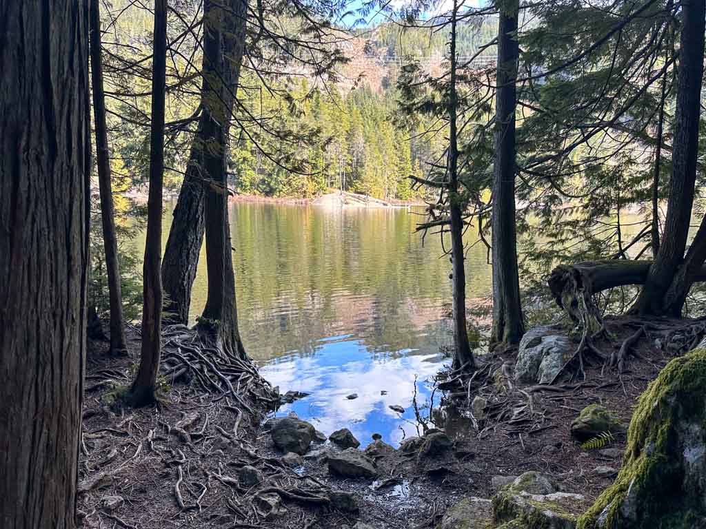 Looking through the trees to the shores of Brohm Lake