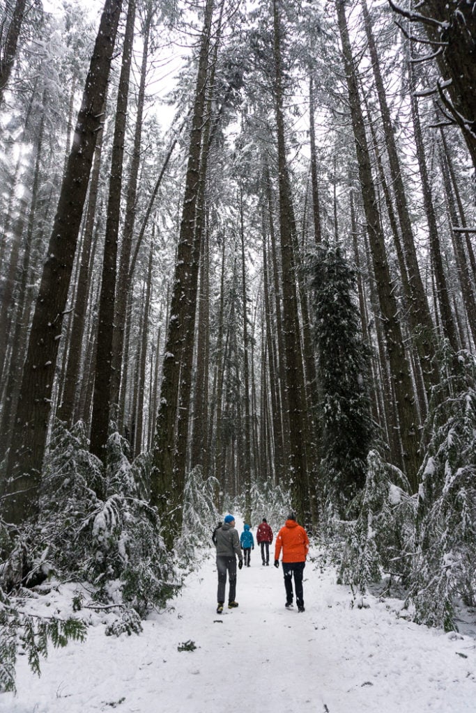 Winter walk in Pacific Spirit Park, Vancouver, BC. Find out how to stay warm and have fun with these 8 tips for winter hiking.
