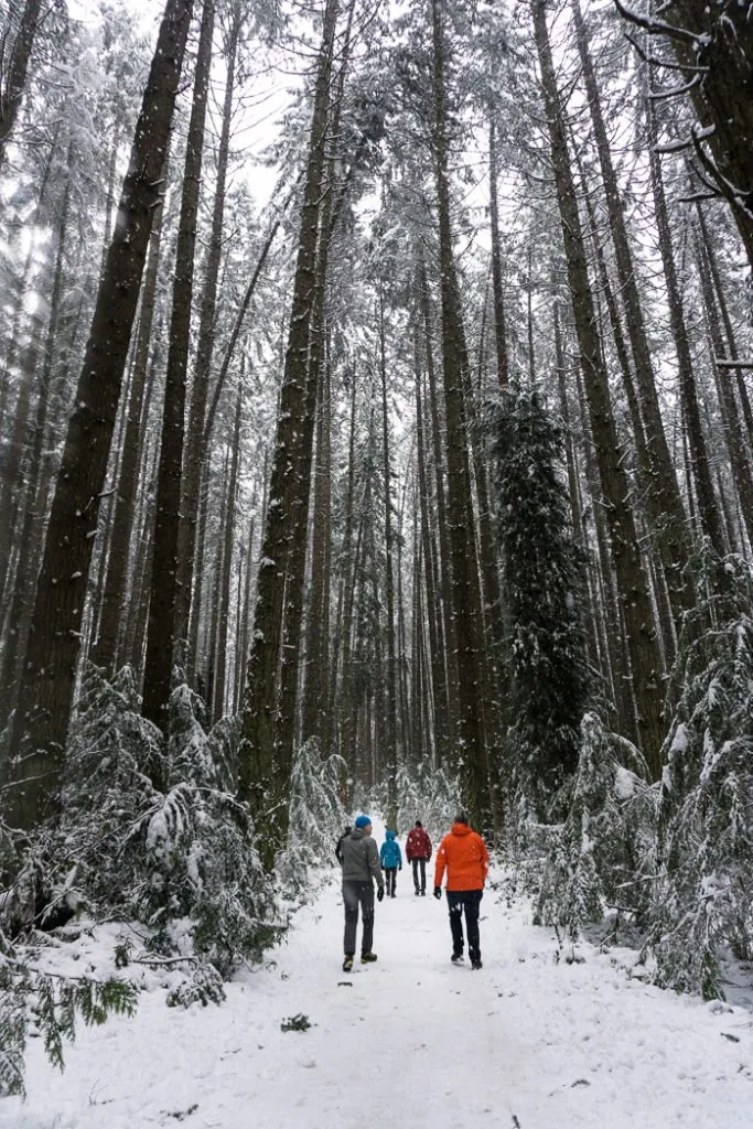 9 Winter Hiking Tips (You Don't Have to Freeze!)