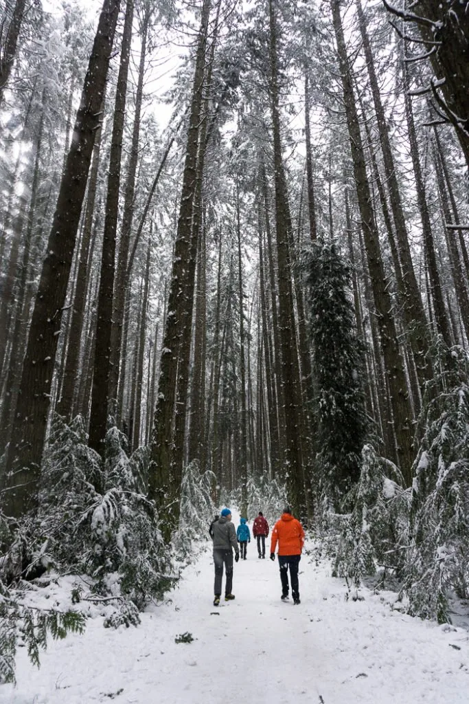 Hiking in Cold Weather - Tips, Tricks and Gear - Our Wander-Filled