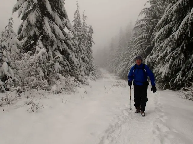 Hiking Hollyburn in the snow