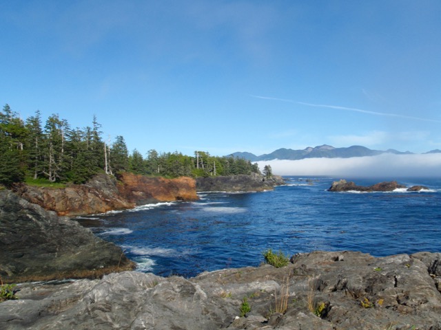 Pocket coves and headlands on the Nootka Trail