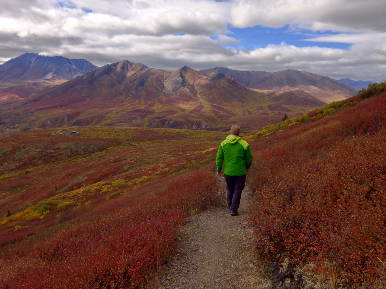 Fall colours in Tombstone Territorial Park