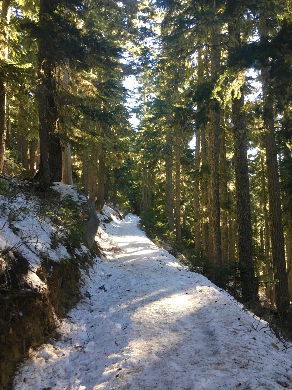Garibaldi Lake trail in the winter.
