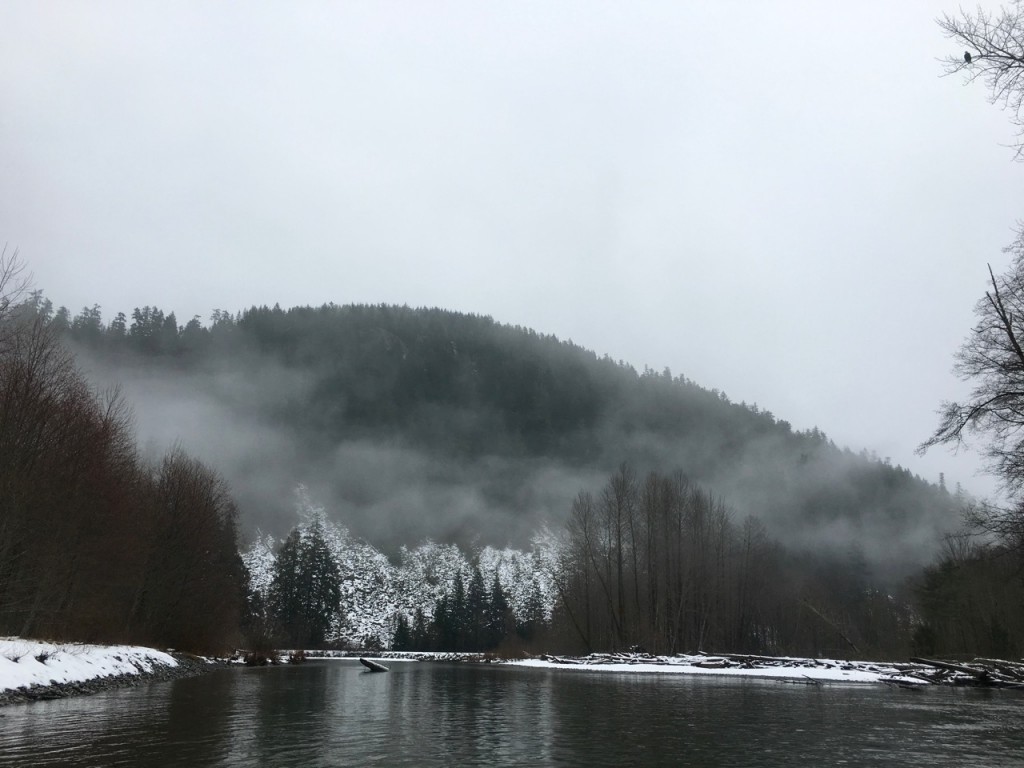 Essay in new river selected winter 05 image