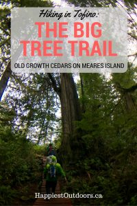 Hiking the Big Tree Trail in Tofino, BC. Giant old growth cedar trees on Meares Island. Rainforest hiking in Tofino, BC.