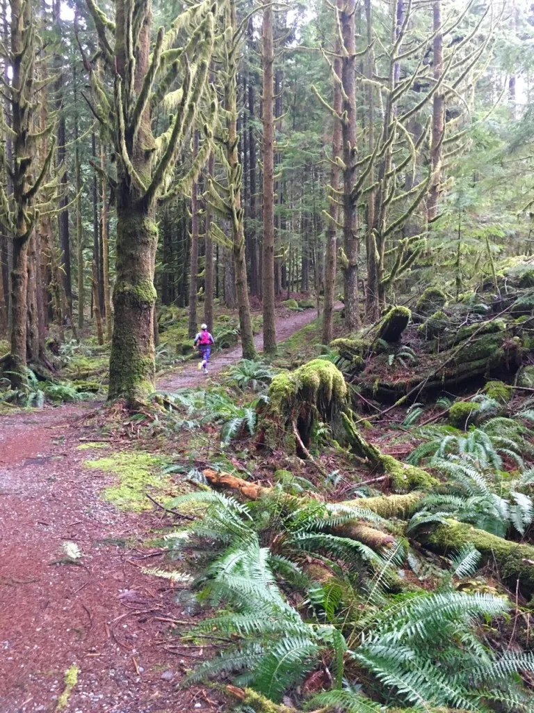 Trail running in North Vancouver