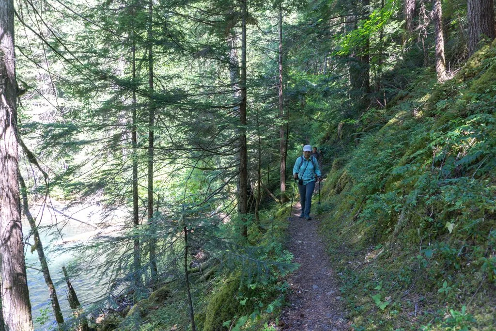Hiking the Skagit River Trail