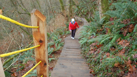 The Velodrome Trail has been called the Burnaby Grind and is an alternative to the Grouse Grind.