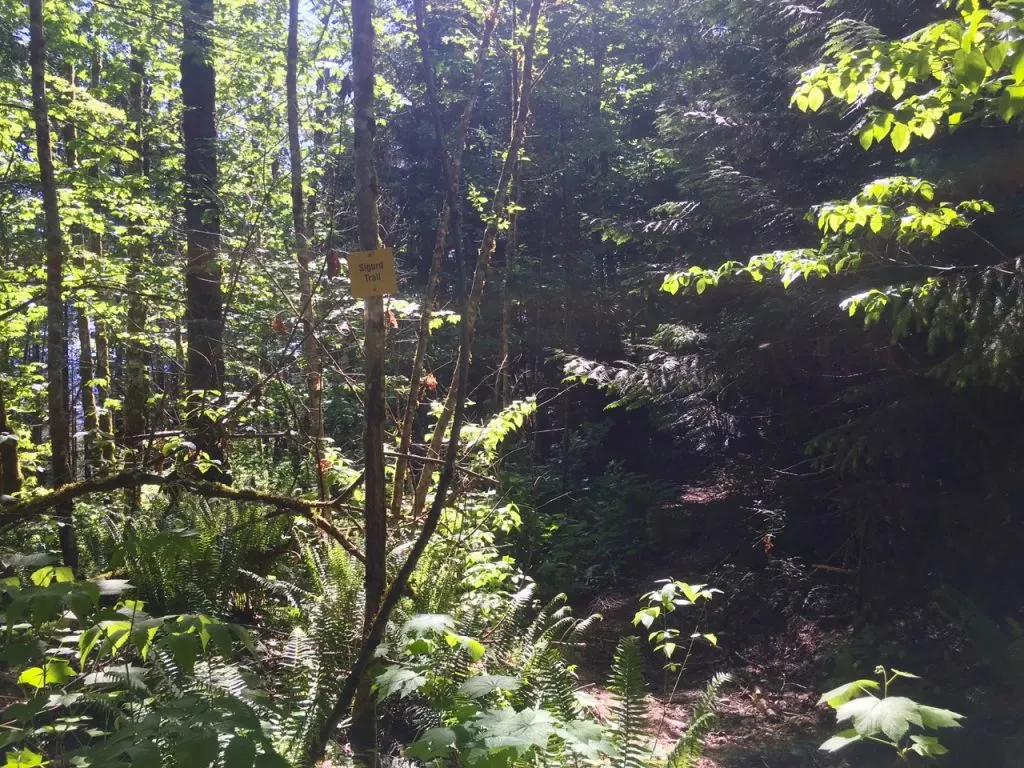 Sigurd Trail sign - Crooked Falls