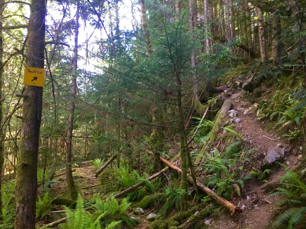 Sigurd Creek Trail - Crooked Falls