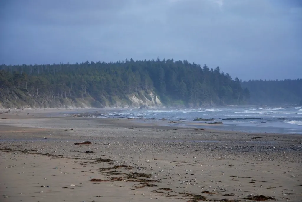 The beach at South Sand Point on the Ozette Loop