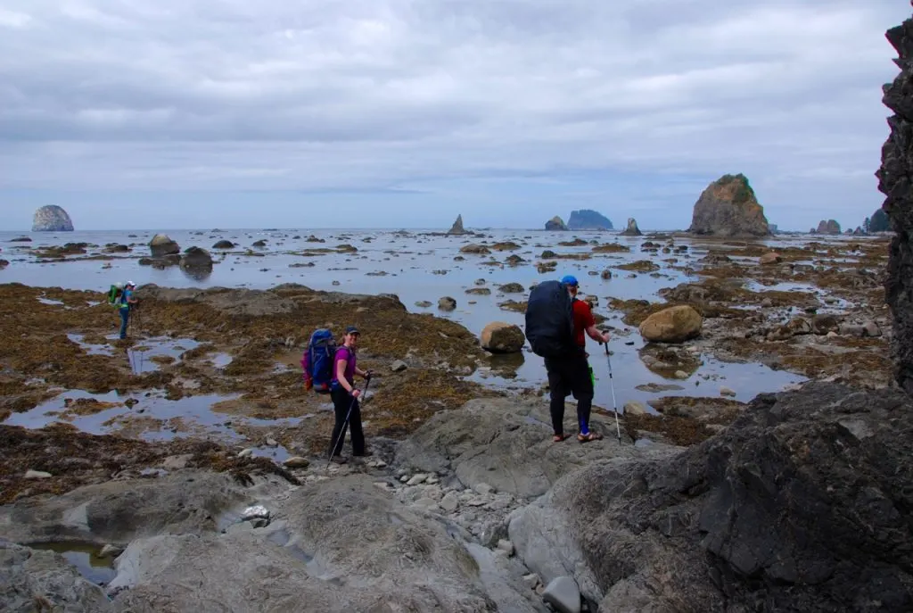 Three hikers with large backpacks scramble across rocks on the shoreline at low tide on the Ozette Loop