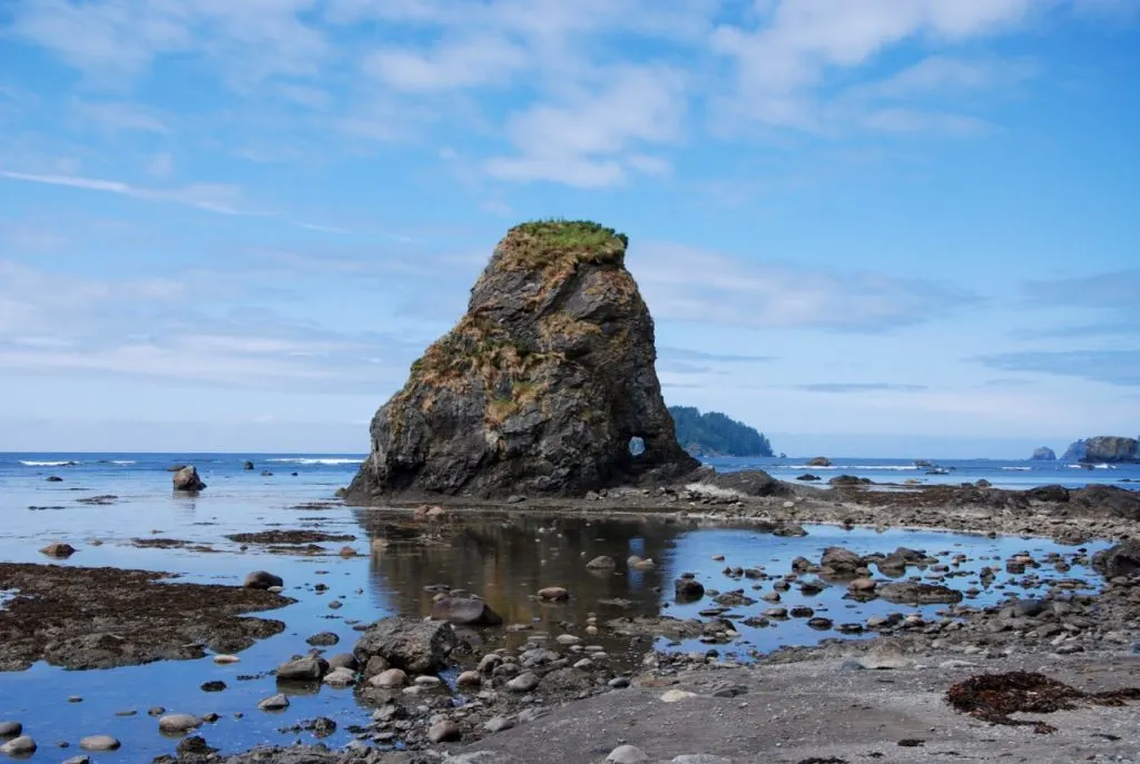 An elephant shaped rock formation on the Ozette Loop trail in Olympic National Park