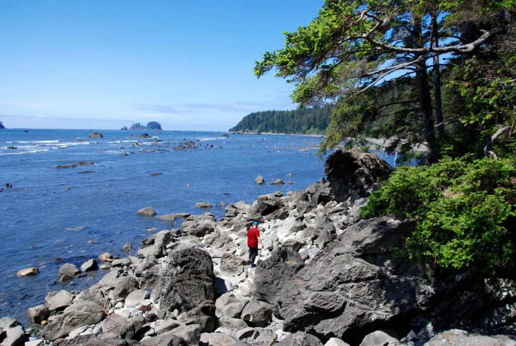 A hiker scrambles across jumbled rocks next to the ocean at Wedding Rocks on the Ozette Loop