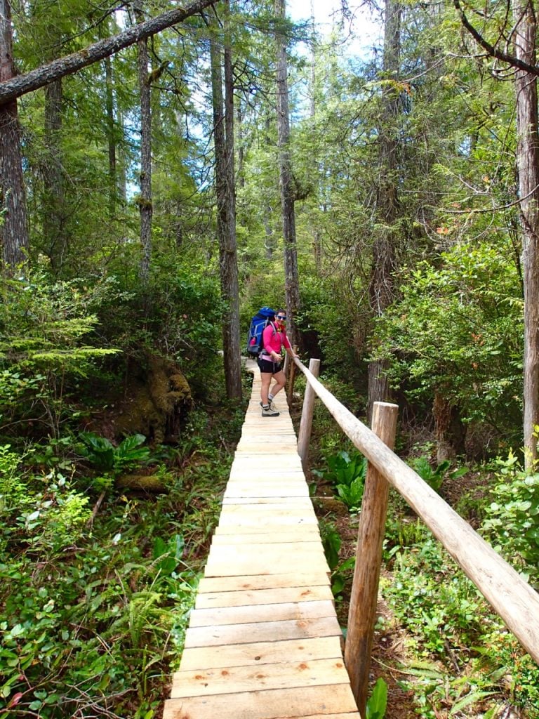 A hiker walks across an elevated boardwalk on an inland portion of the Ozette Loop Trail