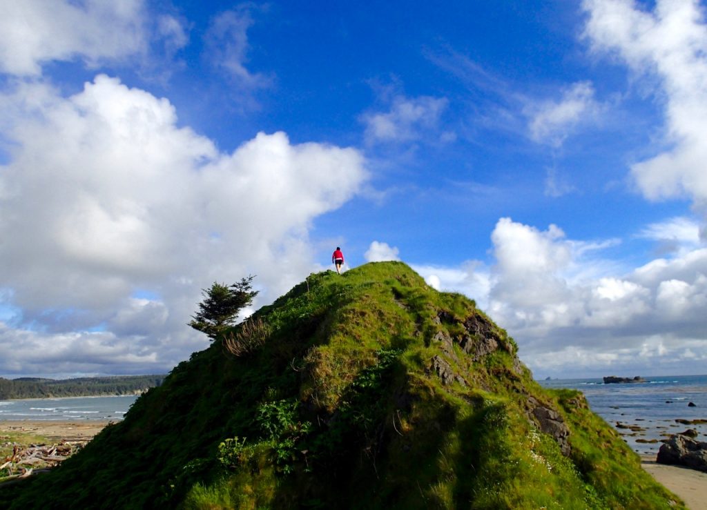 A hiker climbs a grassy hill at Sand Point on the Ozette Loop