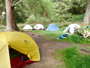 Camping at Cape Alava on the Ozette Loop