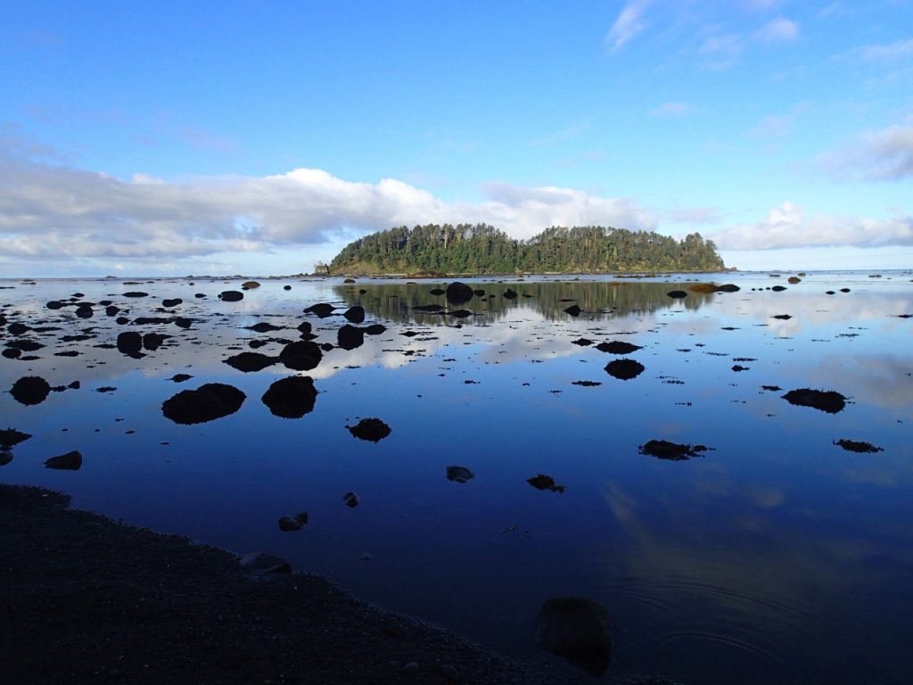 The view of Ozette Island from Cape Alava in Olympic National Park. The still water shows a reflection of blue sky, clouds, and the small forested island.