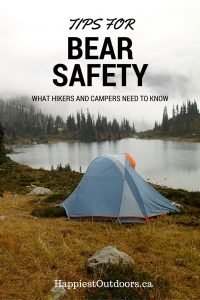 Tips for Bear Safety: What Hikers and Campers Need to Know