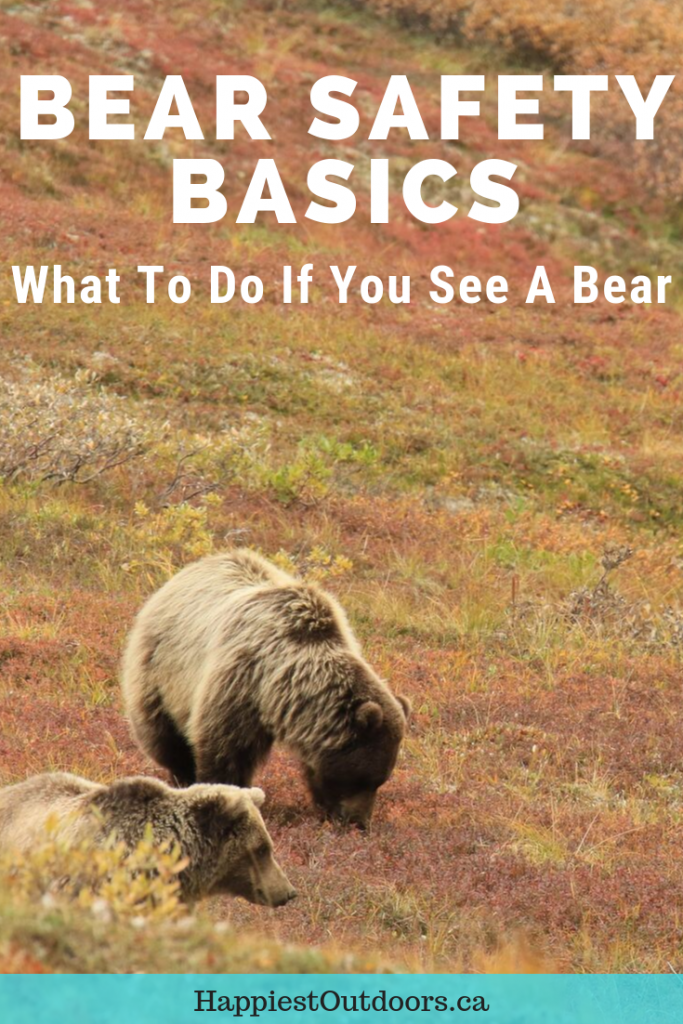 Bear Safety for Hikers, Campers and Backpackers Happiest Outdoors