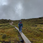 A hiker walks along a boardwalk on the Overland Track in Tasmania. It is raining and she wears a rain jacket and rain pants. Why do rain jackets wet out?
