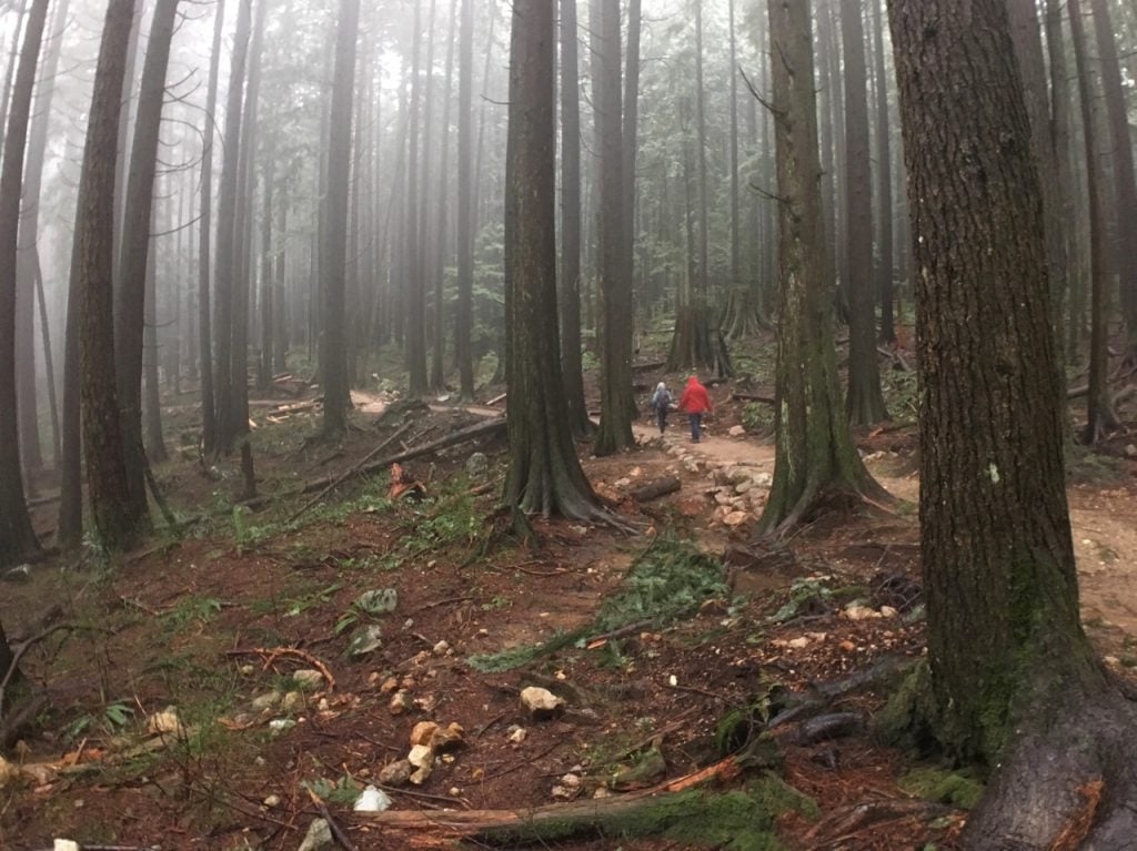 tips for hiking in the rain