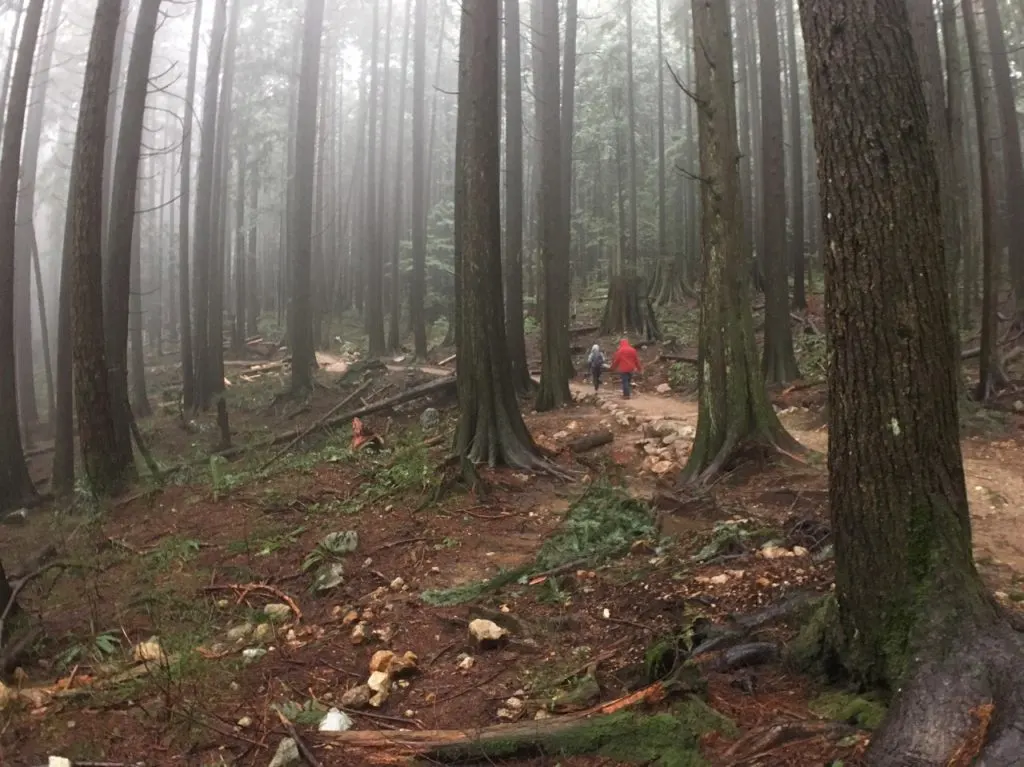 Tips for Hiking in the Rain