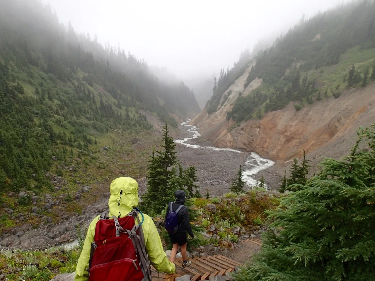 A hiker in a yellow jacket hikes towards a creek in the mist and rain