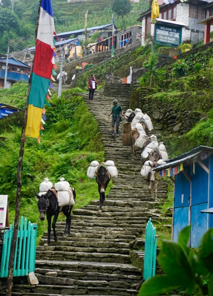 Trekking to Annapurna Base Camp