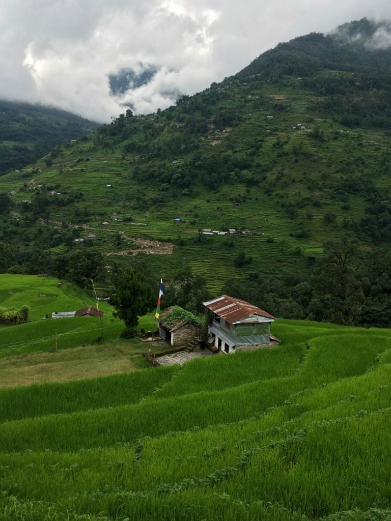 Terraced fields and jungle on the Annapurna Sanctuary Trek. 8 things I wish I knew before going trekking in Nepal