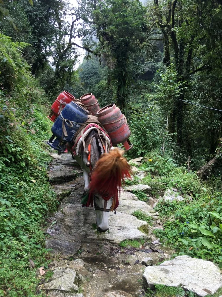 Trekking to Annapurna Base Camp