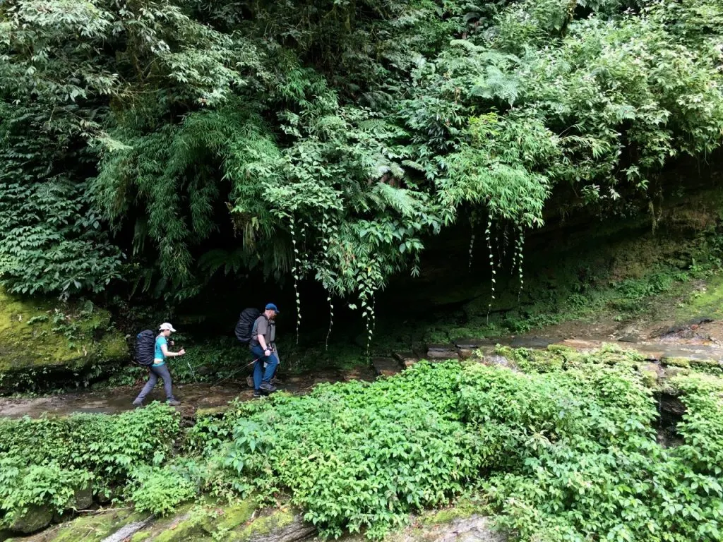 Trekking in the jungle on the way to Annapurna Base Camp. 8 things I wish I knew before going trekking in Nepal