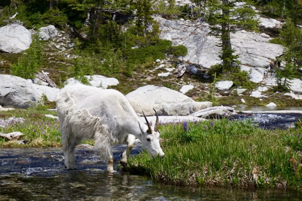 The Enchantments, Washington