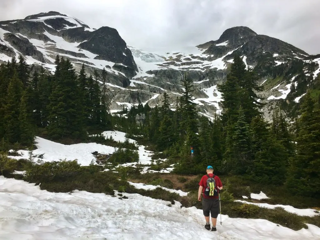 Skywalk Trail in Whistler