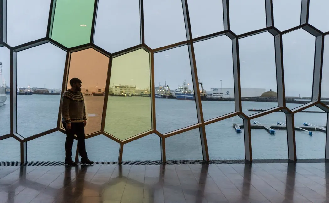 Lopapeysa Icelandic sweater at Harpa: 7 Things You Might Not Know About Iceland in Winter