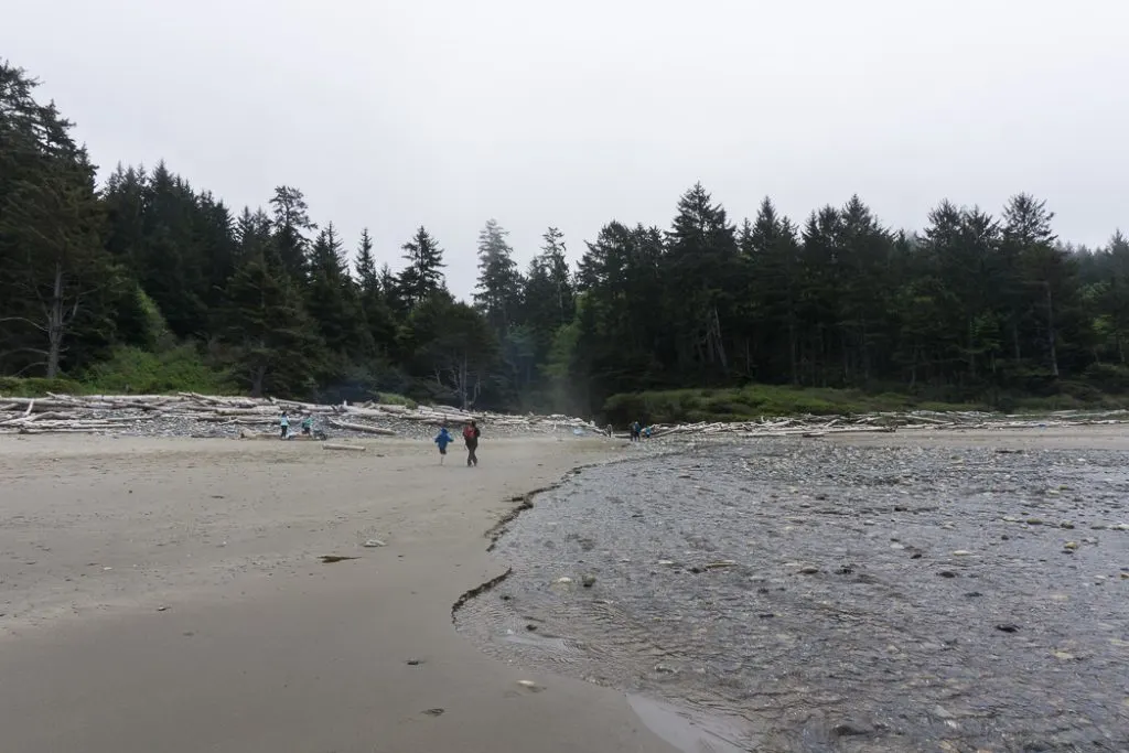 Crossing a creek on Shi Shi Beach. A complete guide to hiking and camping at Shi Shi Beach.