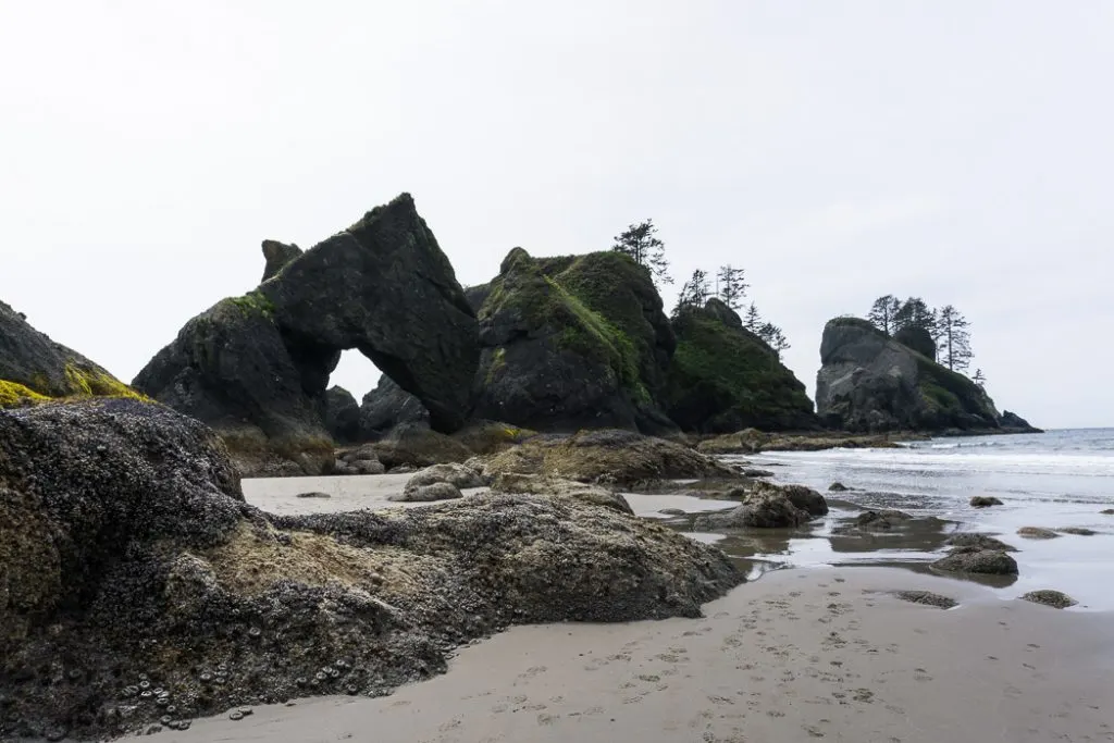 Sea stacks at Point of the Arches at Shi Shi Beach at low tide. A complete guide to hiking and camping at Shi Shi Beach.