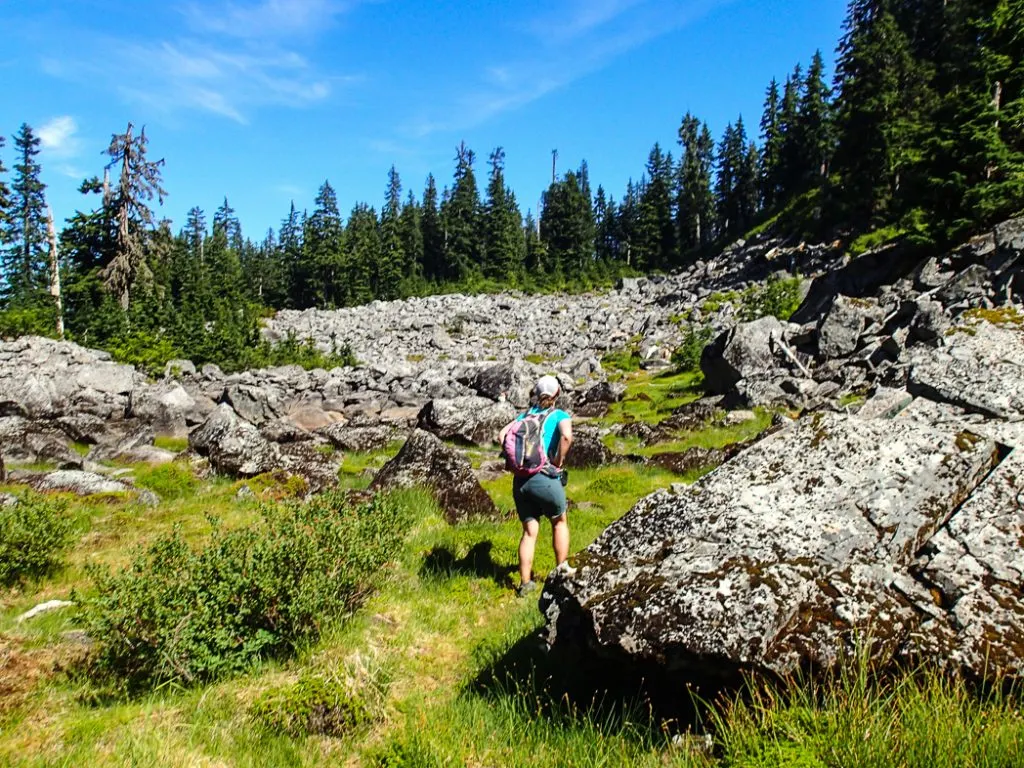 Sometimes trails are hard to follow. Be prepared before your next hike: use this handy list of websites to find trail conditions for Vancouver area hikes.