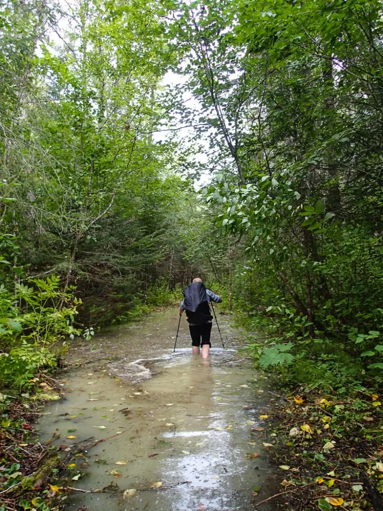 Flooded trails can really wreck a hike. Be prepared before your next hike: use this handy list of websites to find trail conditions for Vancouver area hikes.