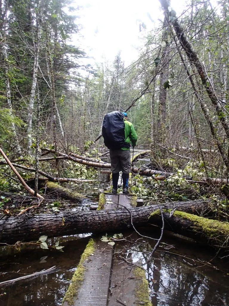 Storms can take a toll on trails. Be prepared before your next hike: use this handy list of websites to find trail conditions for Vancouver area hikes.