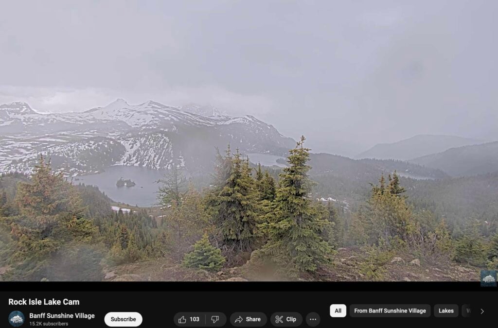 Screen shot from the Banff Sunshine webcam showing early season snow on the hiking trails
