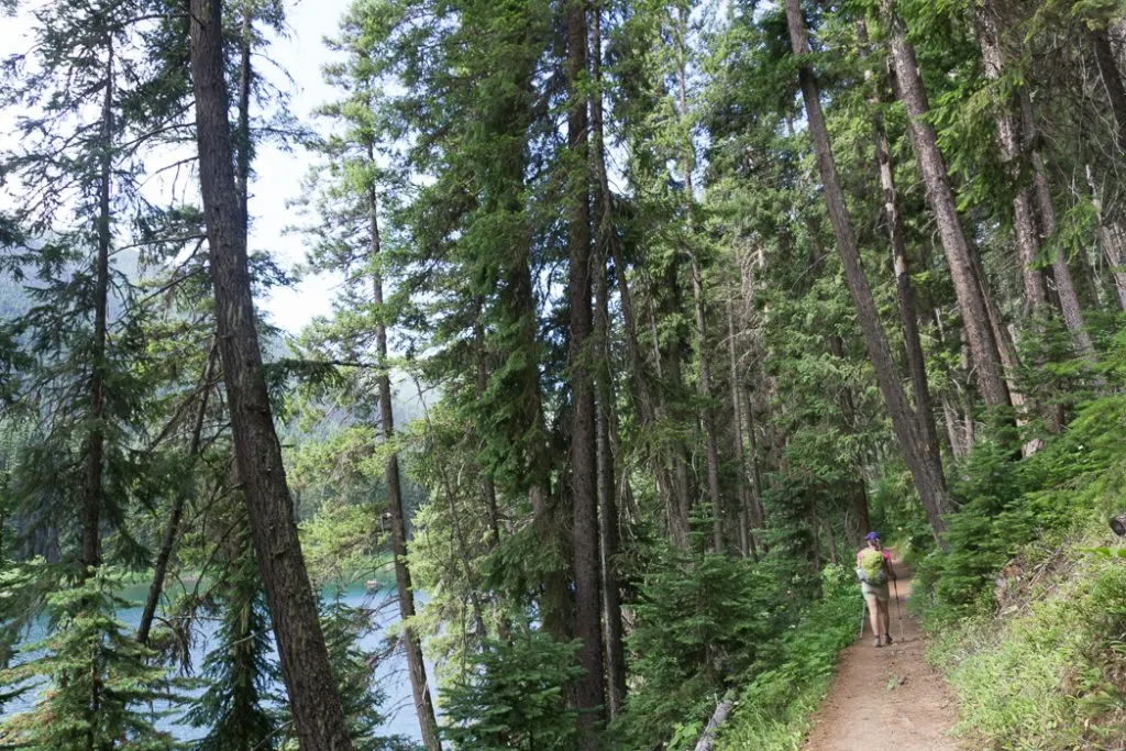 Tips for hiking in hot weather: choose a shady hike.