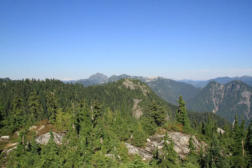 Thunderbird Ridge at Grouse Mountain, one of the best easy hikes near Vancouver