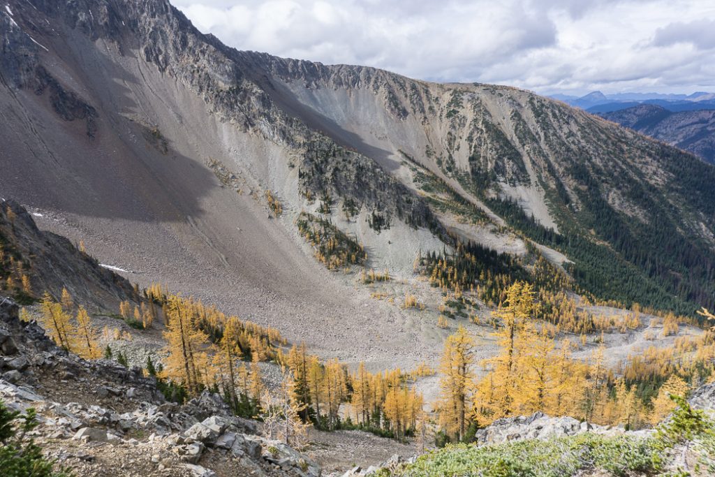 Hike to the gorgeous Frosty Mountain larches in British Columbia, Canada. Go hiking in the fall to the see the larch trees change colour in Manning Park, BC, Canada.