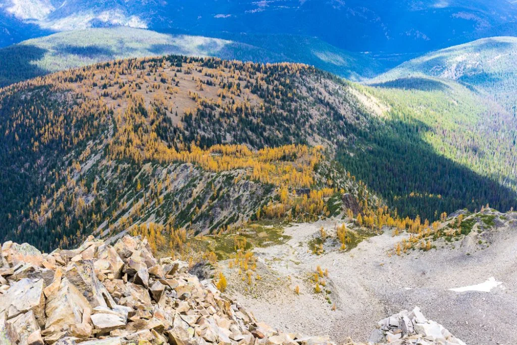 The larch plateau on Frosty Mountain. Hike to the gorgeous Frosty Mountain larches in British Columbia, Canada. Go hiking in the fall to the see the larch trees change colour in Manning Park, BC, Canada.