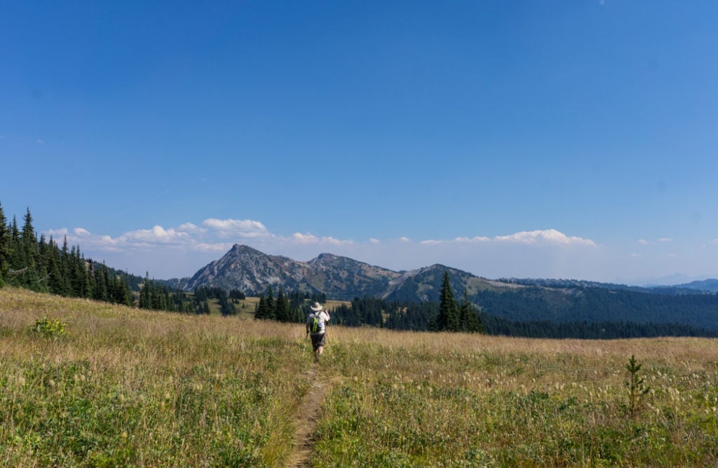 Hiking in alpine meadows on the Heather Trail in Manning Provincial Park, BC, Canada